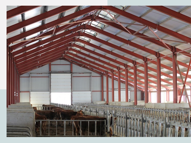 Строительство коровников в Апшеронске