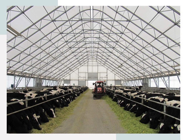 Тентовые коровники в Апшеронске от 615 руб. - Надежно и доступно